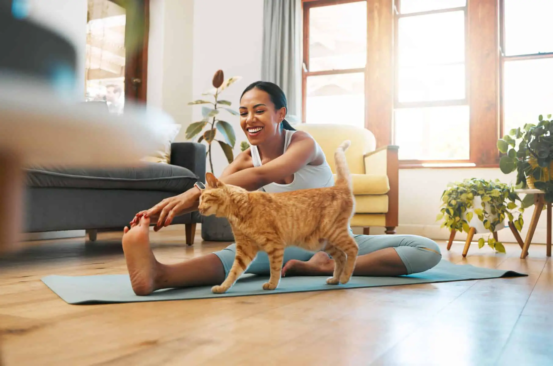 Woman practicing yoga at home with her cat. What's the difference between yoga and meditation?