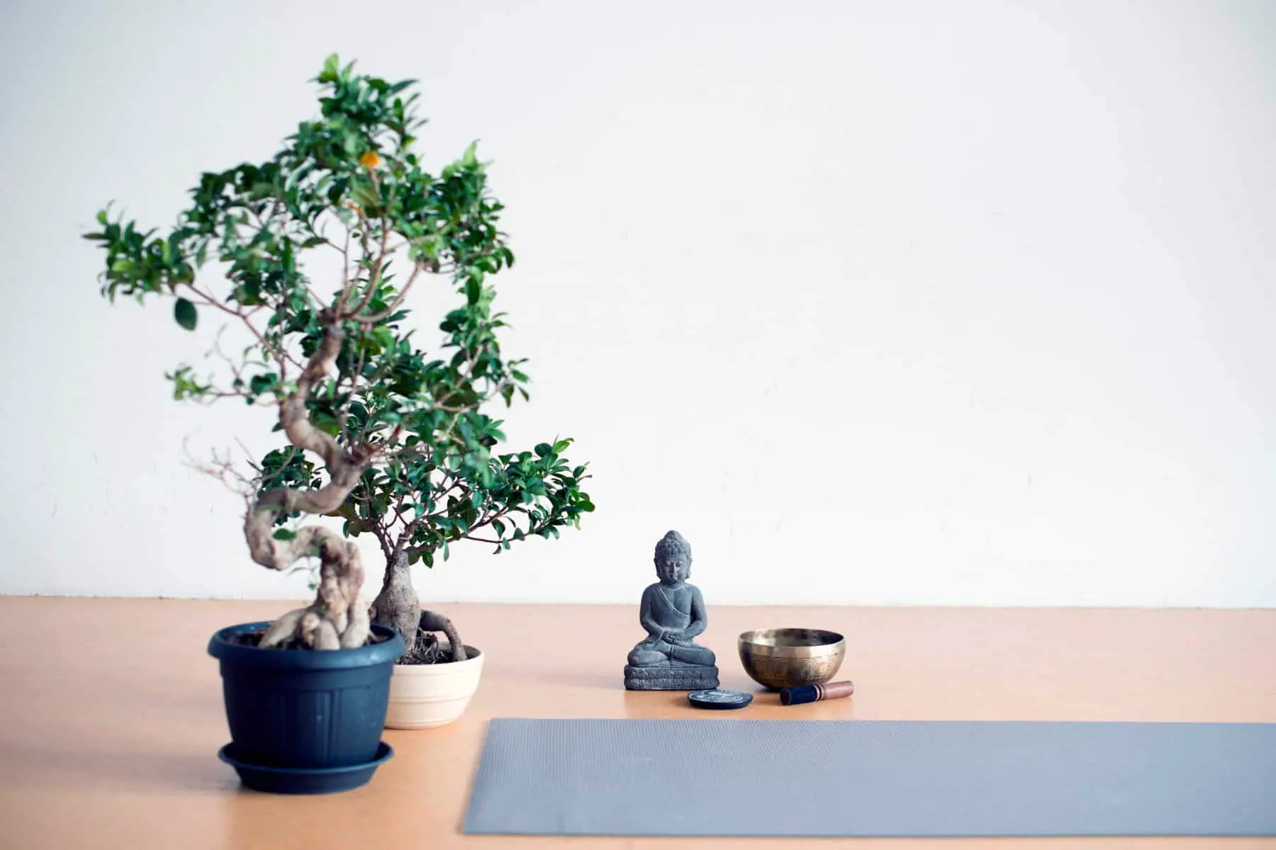 image of a peaceful meditation space, with plants, yoga mat and Buddha statue